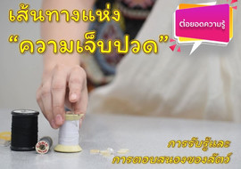 วีดิทัศน์ : เส้นทางแห่งความเจ็บปวด พารามิเตอร์รูปภาพ 1
